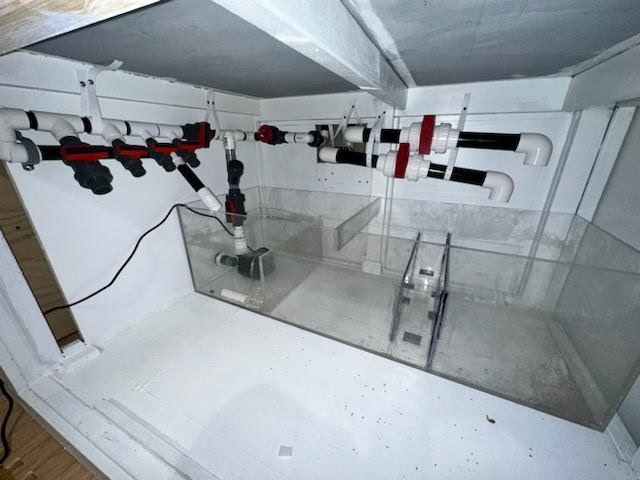 Inside the cabinet