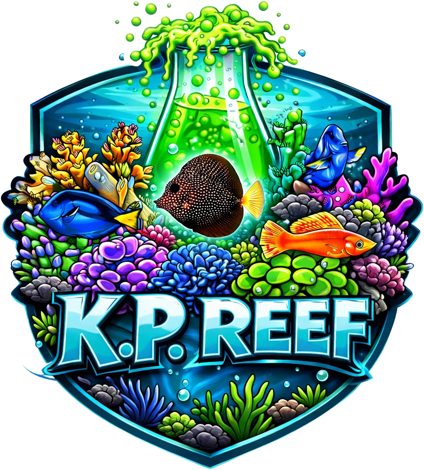 KP Reefs logo — a reef badge with corals, fish and a bubbling beaker